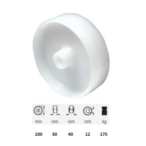 WPPN 1002 1000, suprafață de rulare din plastic (poliamidă), diametru 100 mm, capacitate de încărcare 175 kg, lagăr simplu