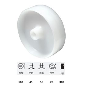 WPPN 1603 1000, suprafață de rulare din plastic (poliamidă), 160 mm diametru, capacitate de încărcare 300 kg, lagăr simplu